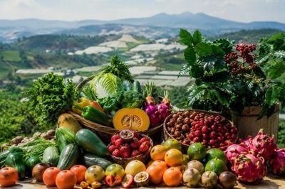 Tăng cường quản lý chất lượng nông sản, mở rộng thị trường tiêu thụ