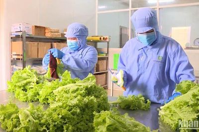 Nông nghiệp hữu cơ - Nền tảng của nông nghiệp xanh: Lý luận, thực tiễn và định hướng phát triển ở Việt Nam