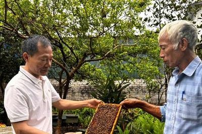 Từ đặc sản quê nhà đến sản phẩm OCOP: Đoài Phương nâng tầm nông sản