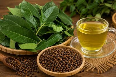 Mùa hè nên uống nước lá vối hay nụ vối tốt hơn?
