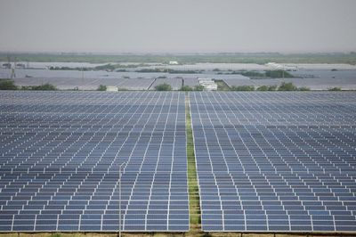 Trung Quốc dẫn đầu các dự án carbon thấp
