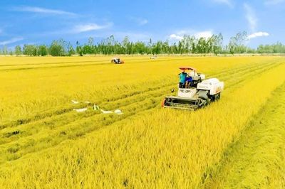 Nông nghiệp với ngã rẽ chuyển đổi tư duy