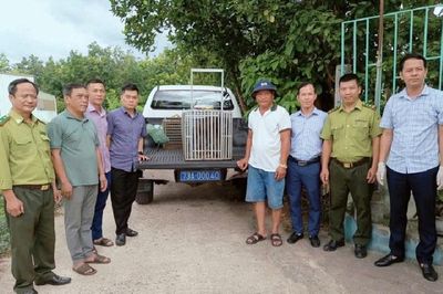Nhiều động vật quý hiếm liên tiếp xuất hiện giữa khu dân cư ở Quảng Trị