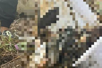 Phát hiện thi thể thiếu niên tại Bệnh viện Đa khoa Bà Rịa