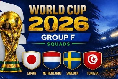 Lịch thi đấu bóng đá bảng F World Cup 2026 mới nhất