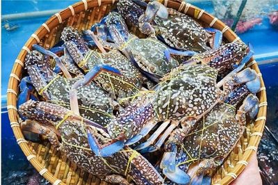 Mỹ ngừng nhập ghẹ từ Philippines, ghẹ Việt đón cơ hội