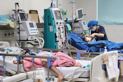 Căn bệnh ở não là mối nguy rình rập vào mùa hè