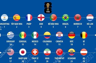 Bảng xếp hạng FIFA các đội tuyển tham dự World Cup 2026