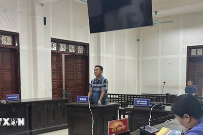 Quảng Ninh: Lĩnh án 4 năm tù vì hủy hoại hơn 10ha rừng tự nhiên