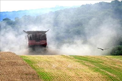 Xung đột tại Trung Đông: EU giải ngân thêm khoảng 350 triệu USD cứu trợ nông dân