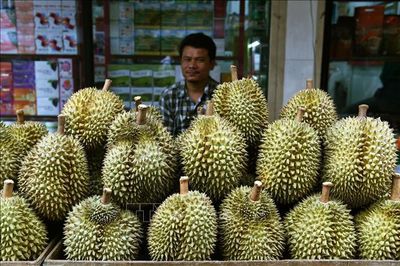 Doanh nghiệp Thái Lan ký thỏa thuận xuất khẩu 500 tấn sầu riêng sang Trung Quốc