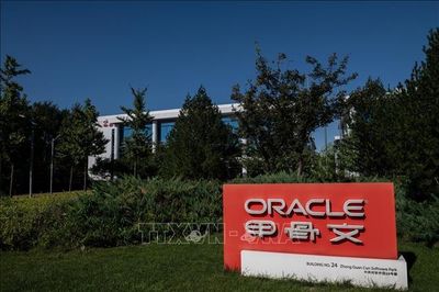 Oracle vượt dự báo lợi nhuận, chuẩn bị huy động thêm 40 tỷ USD cho AI