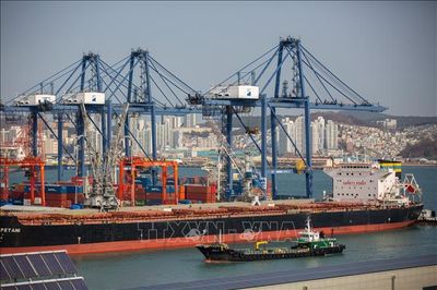 WB hạ mạnh dự báo tăng trưởng kinh tế toàn cầu