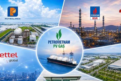 Chưa 'đạt chuẩn' công ty đại chúng, vì sao doanh nghiệp Nhà nước ít nguy cơ bị hủy niêm yết?