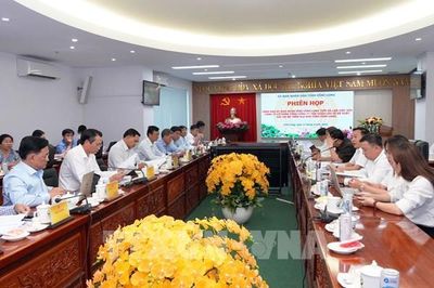Tân Hoàn Cầu đề xuất 3 dự án gần 84.000 tỷ đồng tại Vĩnh Long