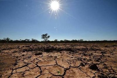 Hiện tượng El Nino đã bắt đầu xuất hiện ở Thái Bình Dương