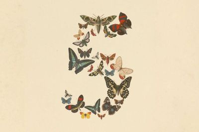 Anthropic ra mắt Claude Fable 5
