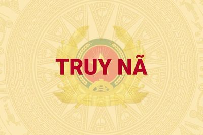 Vận động thành công đối tượng bị truy nã đang ở Nhật Bản về nước đầu thú