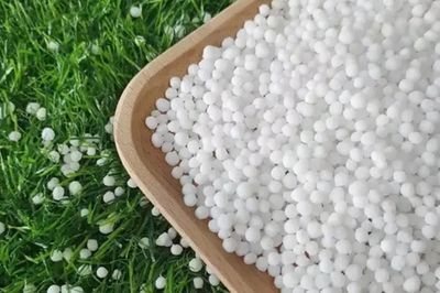 Phân bón Hà Bắc buôn bán, sản xuất lượng lớn hàng hóa giả mạo nhãn hiệu