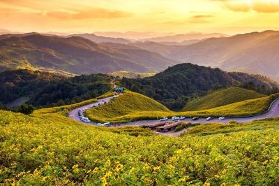 93% du khách Việt yêu thích du lịch tự lái xe