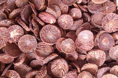 Truy tố 17 bị can xuất lậu cau khô qua biên giới, trị giá hơn 44 tỷ đồng tại Cao Bằng