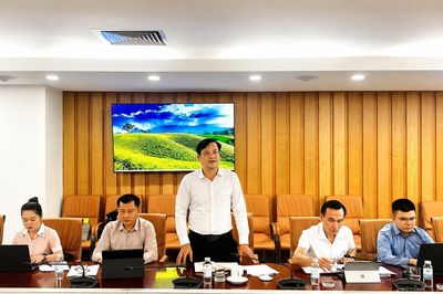 Điện Biên đề xuất hỗ trợ xây dựng vùng nguyên liệu cà phê, cao su đáp ứng quy định chống mất rừng của Liên minh châu Âu