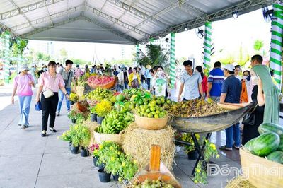 Bước khởi đầu cho chiến lược phát triển bền vững ngành hàng trái cây