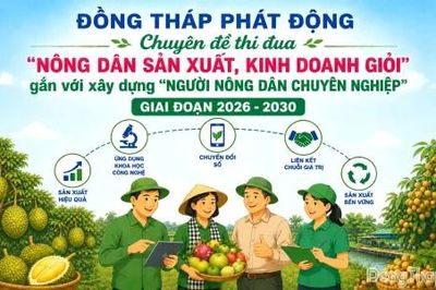 Đồng Tháp: Thi đua 'Nông dân sản xuất, kinh doanh giỏi' gắn với xây dựng 'Người nông dân chuyên nghiệp'