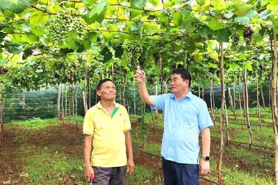Nâng cao năng lực lãnh đạo của bí thư đảng ủy cấp xã