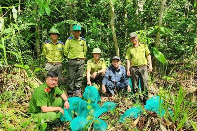 Thả 15 cá thể quý, hiếm về rừng tự nhiên ở Kon Ka Kinh