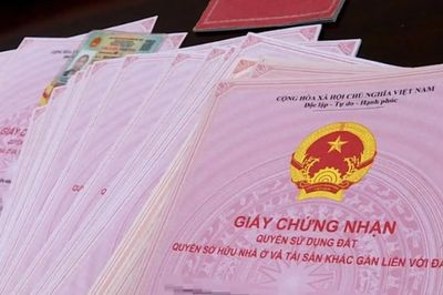 Luật Đất đai 2024: Diện tích bao nhiêu thì được cấp sổ hồng?