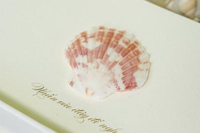 Viên Vibi hé lộ thiệp cưới sau 10 năm yêu: Độc đáo lời nhắn bí mật từ đáy đại dương