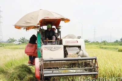 Vụ Xuân đạt kết quả cao