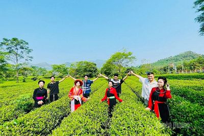 Đồng hành cùng du lịch trải nghiệm