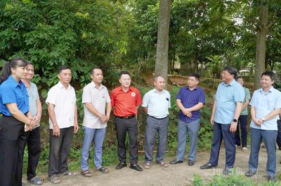Kiểm tra thực hiện công tác sắp xếp, sáp nhập thôn trên địa bàn xã Tri Phú