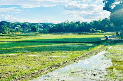 Vụ hè thu 2026: Không chỉ lo thiếu nước