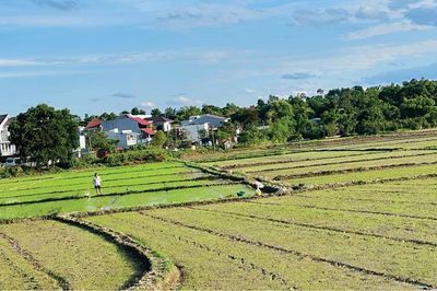 Vụ hè thu 2026: Không chỉ lo thiếu nước