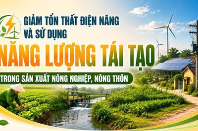 Giảm tổn thất điện năng và sử dụng năng lượng tái tạo trong sản xuất nông nghiệp, nông thôn