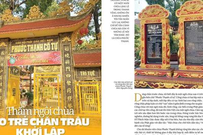 Thăm ngôi chùa do trẻ chăn trâu khởi lập