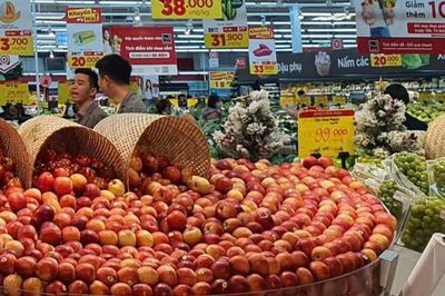 Việt Nam chi gần 23 tỷ USD nhập khẩu nông, lâm, thủy sản