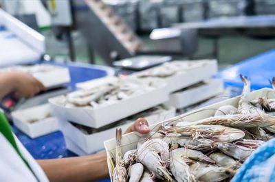 Tôm, cá tra tiếp tục dẫn dắt xuất khẩu thủy sản