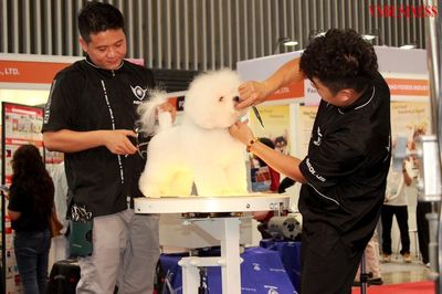 Làn sóng cá nhân hóa tạo đà cho các lĩnh vực mới ở Việt Nam