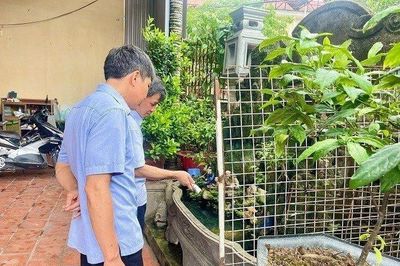 Sốt xuất huyết tăng gấp 2,5 lần, phá vỡ quy luật cũ