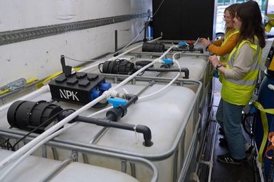 Biến nước tiểu thành phân bón: Giải pháp xanh từ nước Anh
