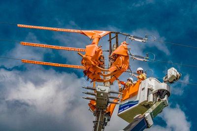 Bóc tách các yếu tố giúp EVN đạt lợi nhuận đột biến