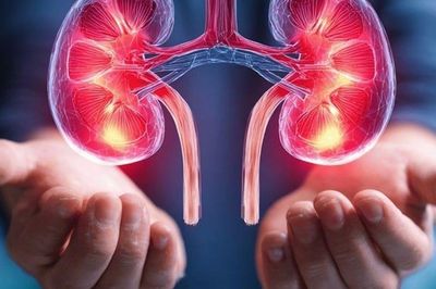 5 dấu hiệu ban đêm chứng tỏ thận của bạn rất khỏe mạnh