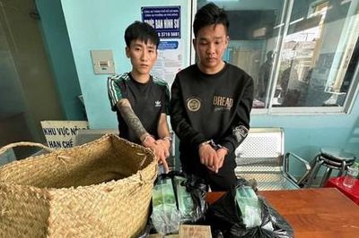 Triệt phá đường dây ma túy xuyên quốc gia, bắt hơn 400 đối tượng