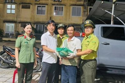 Tp. Huế: Đêm muộn vẫn sáng lên hành động đẹp bảo vệ động vật hoang dã