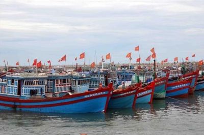 Cà Mau tăng cường bảo đảm an toàn cho người và tàu cá trong mùa mưa bão 2026
