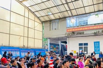 Quy định mới tạo điều kiện cho người khuyết tật tham gia thị trường lao động